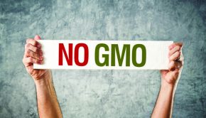 Protests Needed Food Industry Fudges GMO Facts