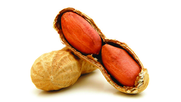 Eating Peanuts Early On Reduces Allergy Risk