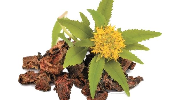 Rhodiola-Menopause