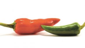 chili-peppers-longevity