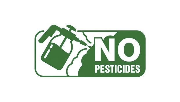 no-pesticisdes