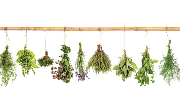 fresh-herbs