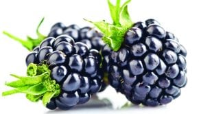 Black Raspberries Bolster Heart Health
