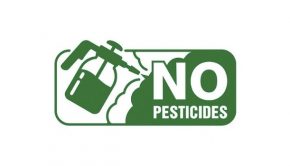 no-pesticisdes