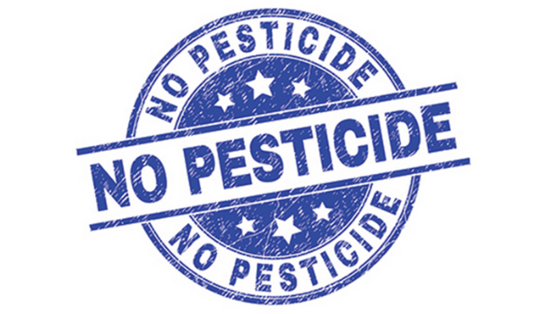 chlorpyrifos-pesticide