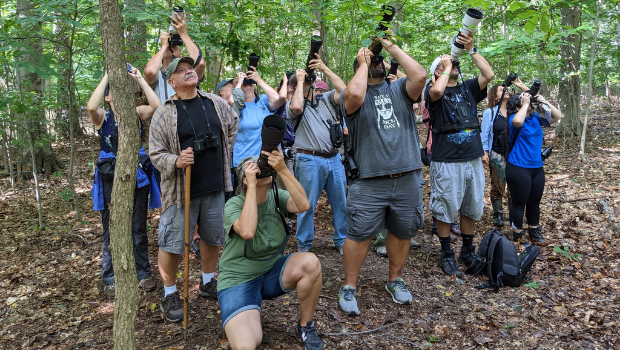 birdwatchers