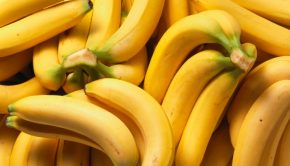 vanishing-bananas