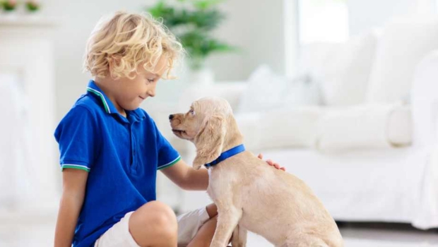 Raising Puppies to Be Heroes: How to Foster Guide Dog Candidates ...