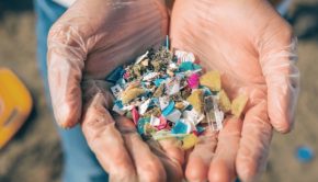 Microplastics