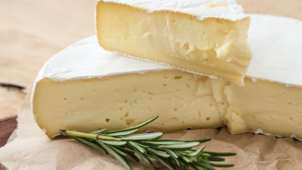 brie-cheese