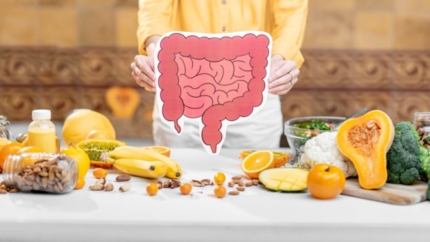 gut-health